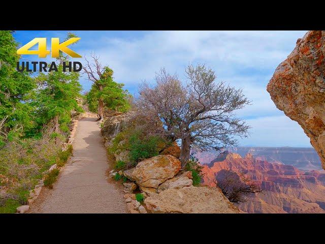 Grand Canyon National Park Bright Angel Point Trail Hike 4K | North Rim Scenic Hiking