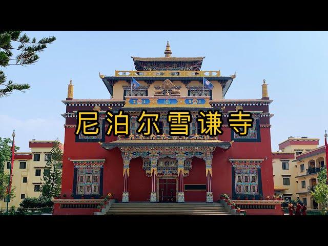 这座寺院是前不丹国师1980年创建，如今有来自世界各地的学生在这里学习#雪谦寺#尼泊尔佛教圣地