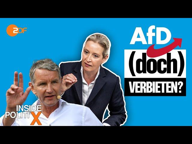 Droht der AfD ein Verbot? | Inside PolitiX