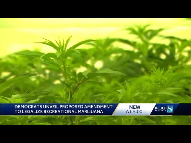 Iowa Senate Democrats propose amendment to marijuana laws