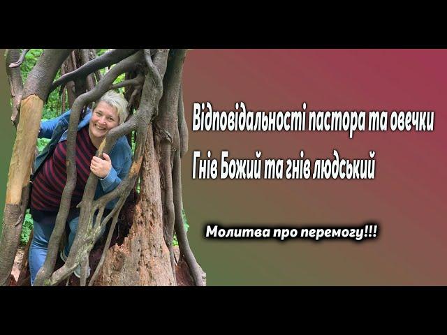 Відповідальності пастора та овечки; гнів Божий та гнів людський; відділення, поділення та розділення