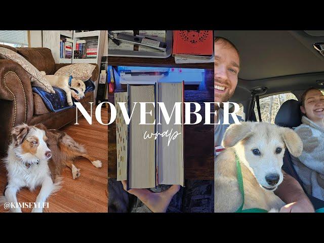 November Wrap