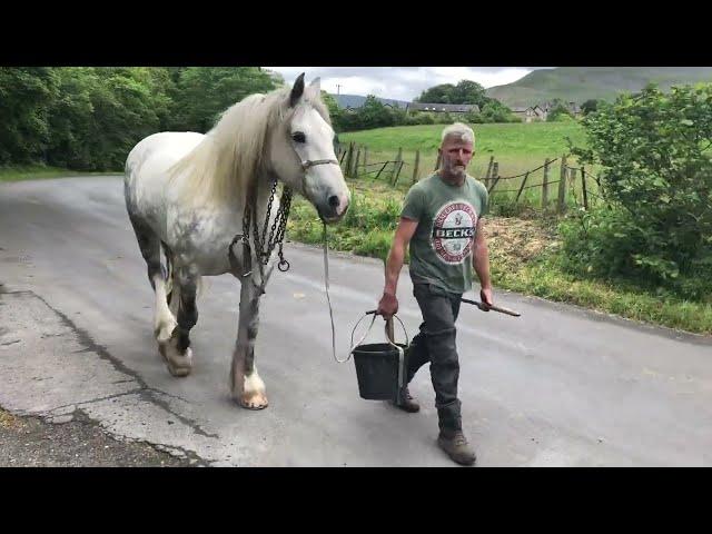 Heading for Appleby Horse Fair