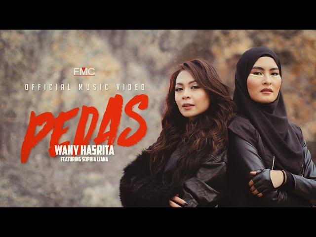 Wany Hasrita - Pedas (feat Sophia Liana) Official Music Video