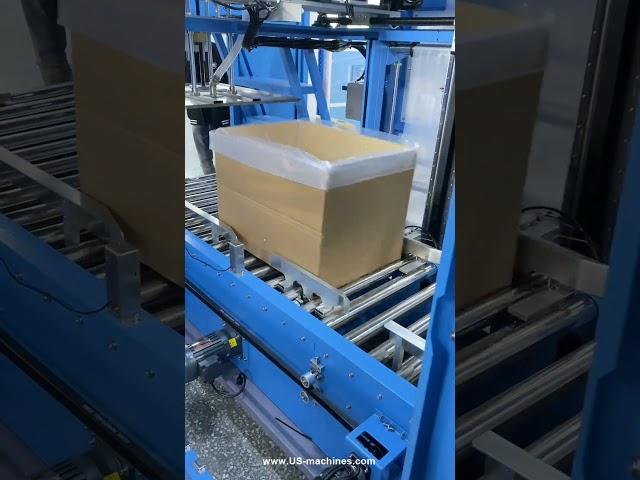 Bag in box machine automatic bag inserting box case packing machine