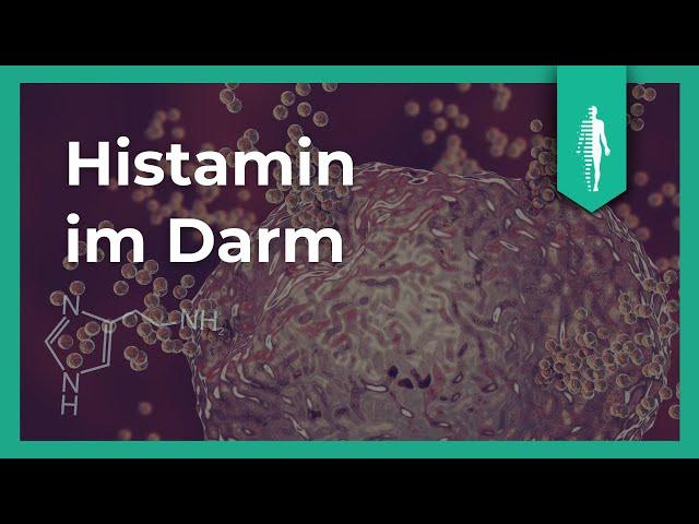 3 Arten von Histamin - Das hat Dein Darm wirklich damit zu tun | Kyra Kauffmann