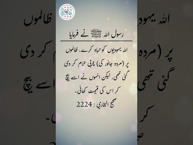 Daily Hadees | Hadees Sharif | Sahih Bukhari 2224 || Daily Blink #shorts #viral #sahihbukhari