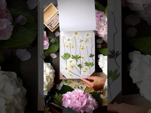 Панно из гербария #творчество #creative #creativity #ideas #idea #идея #гербарий #herbarium