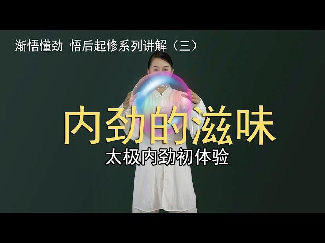 太极内劲到底什么感觉？内劲初体验，渐悟懂劲，悟后起修系列（三）