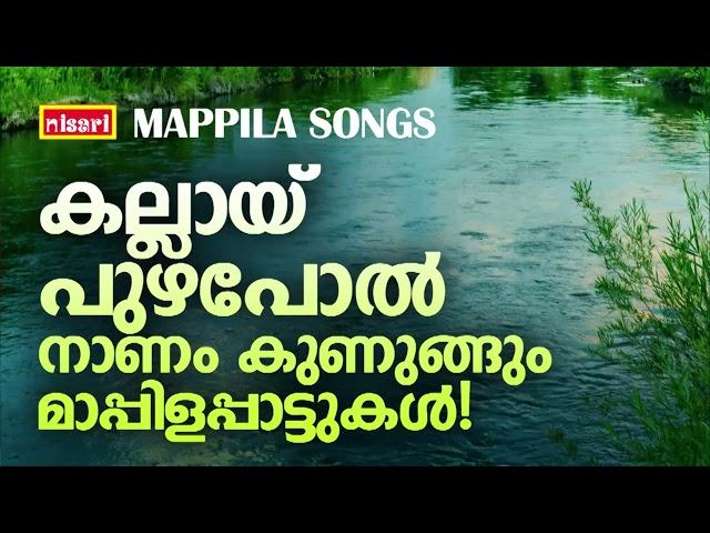 Mappilapattukal | Mappila Pattukal Malayalam | Malayalam Mappila Songs | Old Mappilappattukal