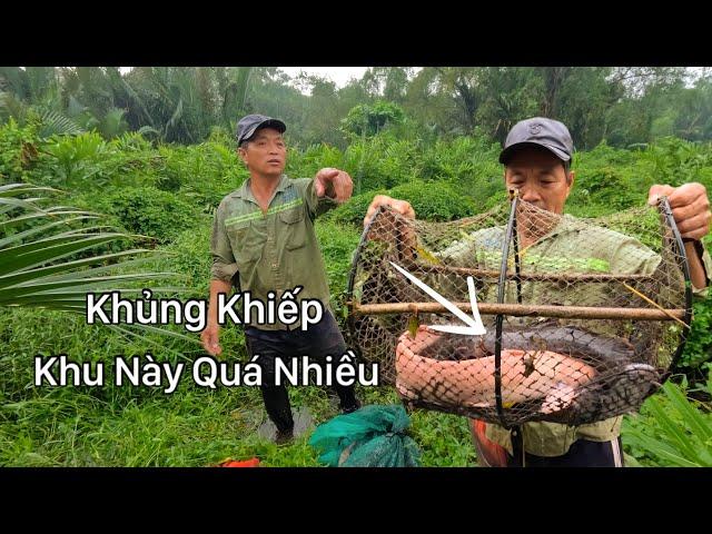 Khủng Khiếp Thăm Những Cái Lờ Cá Vô Lần Cả Đàn Muốn Banh Lờ