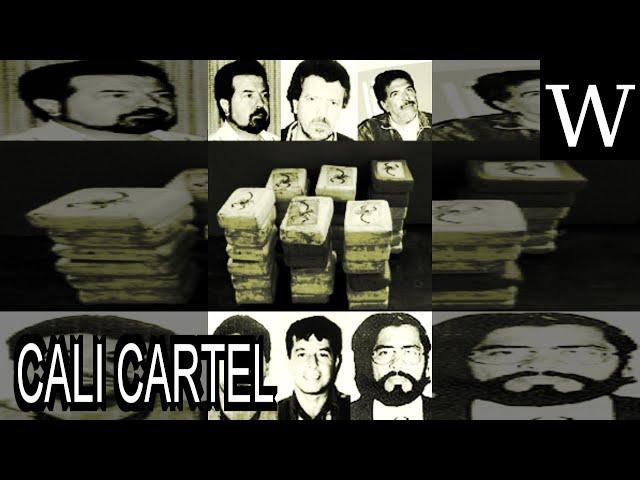 CALI CARTEL - WikiVidi Documentary