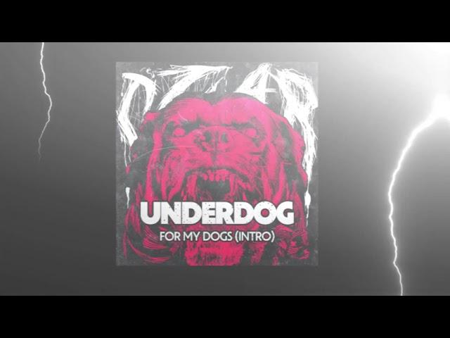 CZAR - FOR MY DOGS/INTRO (prod. by INTERKRIMEZ)