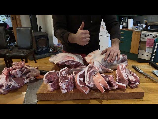 MEAT for OUR FAMILY | Ewes on their first Break