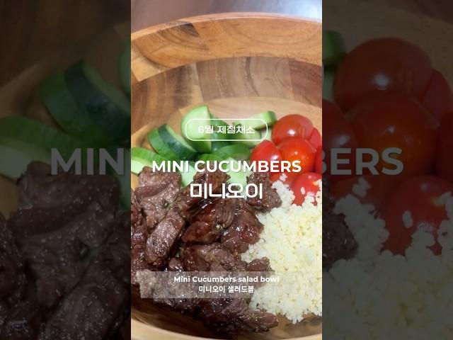 여름 제철채소 미니오이 Mini Cucumbers
