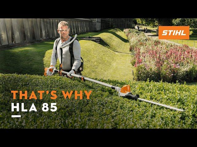 STIHL HLA 85 | Long-reach hedge trimmer with telescopic shaft I That's why