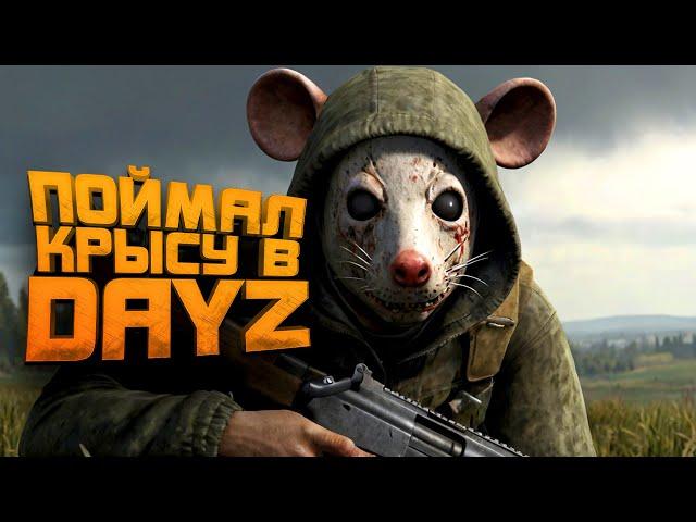 ПОЙМАЛ КРЫСУ В DAYZ - ВЫЖИВАНИЕ С НУЛЯ