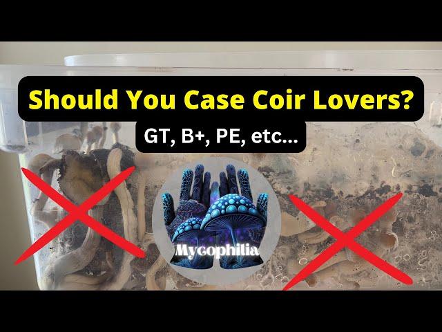 Casing Coir Lovers, Discussion on Pros and Cons of Shoeboxes, and Preventing Blobs