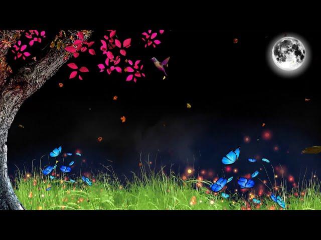 Background Video/Background Video Effects hd/Template Video Background