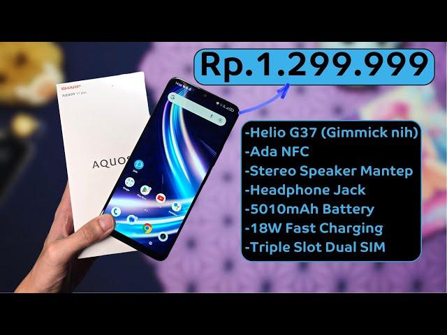 HP 1.3 JUTA PALING UNDERRATED DI 2024 | Sharp Aquos V7 Plus Unboxing & Impression