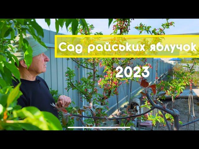 Сад колекціонера райських яблучок, 2023. Розплідник дерев. Дизайн саду.