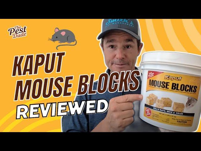 Kaput Mouse Bait Blocks: An Exterminator's Honest Review