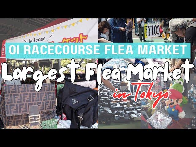 LIVING IN JAPAN 033 | Tokyo’s Largest Flea Market | Japan Thrift Shopping