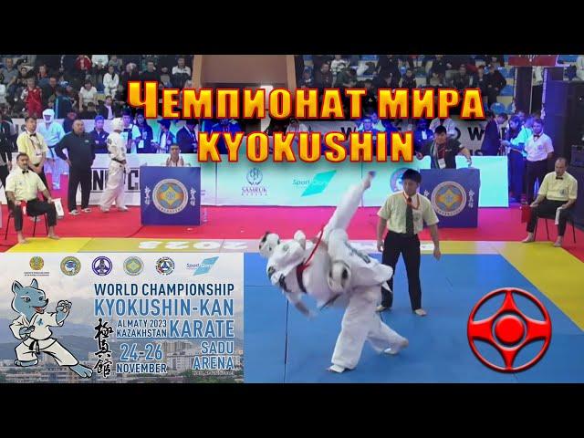 Веселый рассказ о Чемпионате Мира по киокусинкай карате 2023