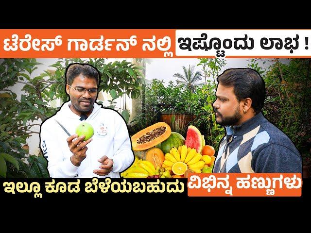 ಬಾಯಲ್ಲಿ ನೀರೂರಿಸೋ ಹಣ್ಣುಗಳು ಬೆಳೆಯಿರಿ | Terrace Gardening Ideas To Grow Fruits | Datta Bennur