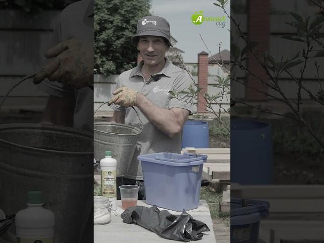 Как сделать удобрение из крапивы #антоновсад #удобрение #подкормка