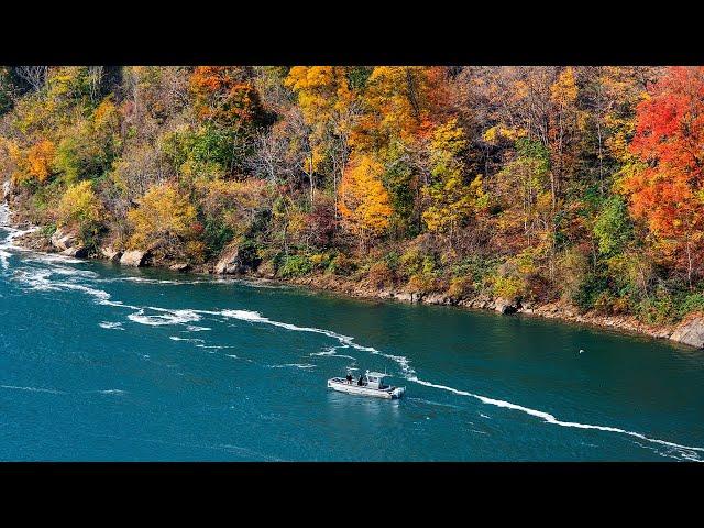 Police: Mother and two children intentionally went over Niagara Falls, have not been recovered
