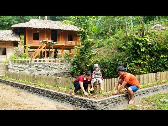 Harvesting eggplants goes to market sell | Gardening growing vegetables daily life