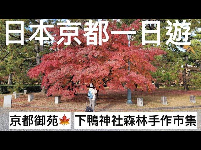 京都一日遊｜前往歷代天皇的居所-京都御苑｜逛下鴨神社裡的糺の森-森林手作市集｜茶寮都路里抹茶冰淇淋、北極星蛋包飯｜2023日本京阪奈自由行️｜芒果這一家