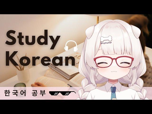 【韓国語勉強】過去形をつかう！한국어 공부 Studying korean