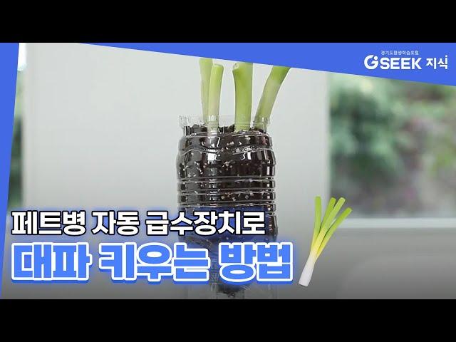 페트병 자동 급수장치로 대파 키우는 방법｜경기도 지식(GSEEK)