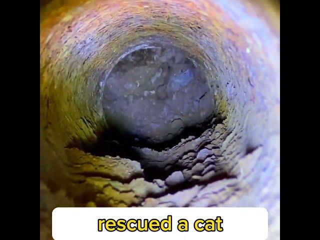 Man carefully rescues a cat that was stuck in a drainpipe!