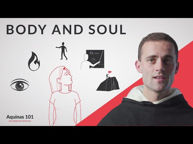 Body and Soul (Aquinas 101)