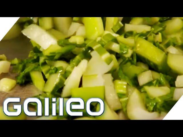 Pak Choi - Der Wunderkohl | Galileo Lunch Break