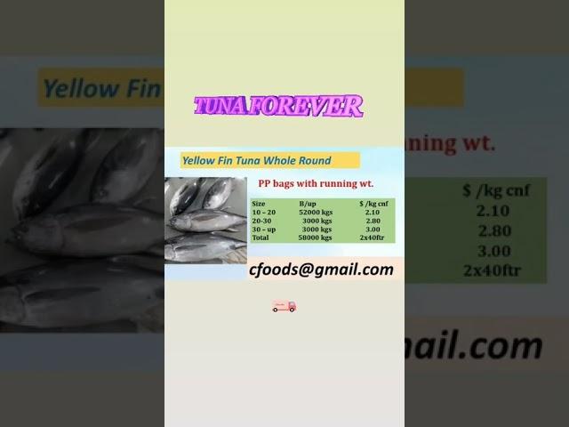 Yellow Fin Tuna