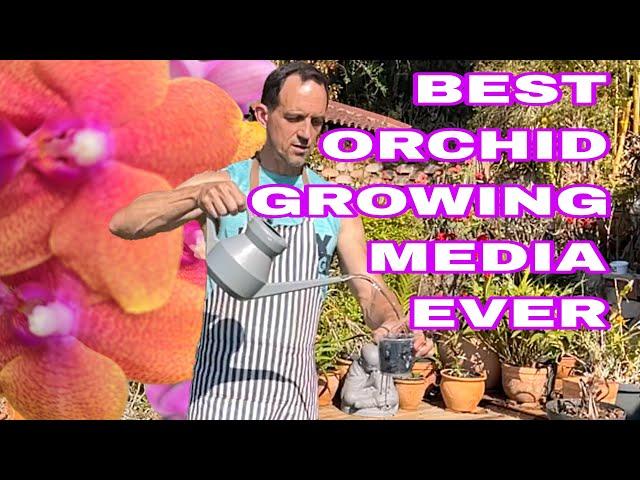 This media will help stop you killing your Orchid