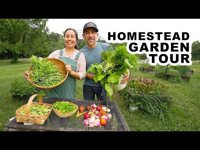 Growing Groceries for Family and Animals Homestead Garden Tour