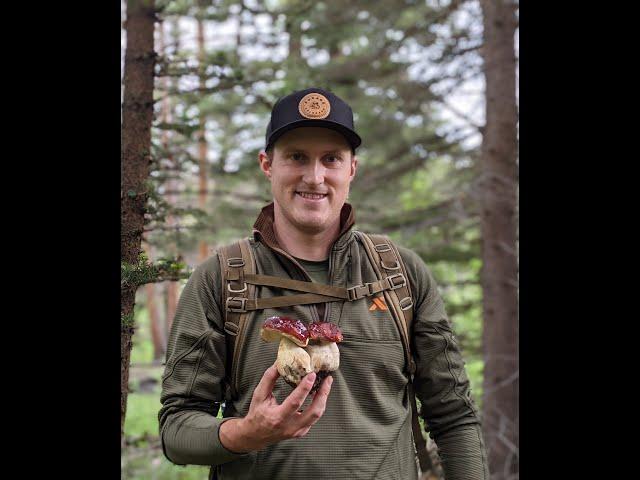 Mushroom and Wild Food Foraging with Orion Aon