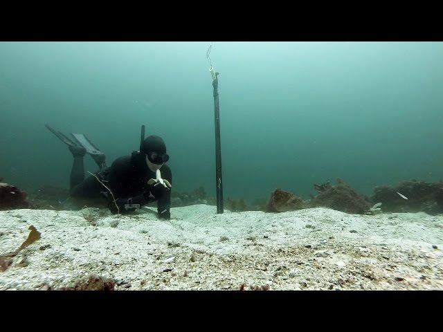 Freediving Norway - Gopro with external flaslight.