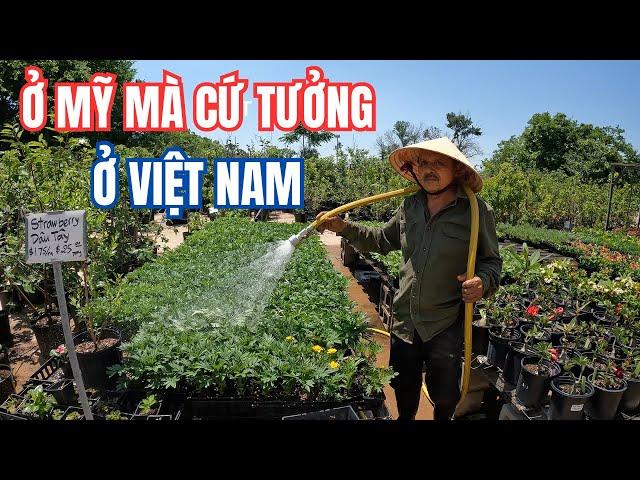 Cuộc Sống Làm Vườn Của Người Việt Ở Mỹ