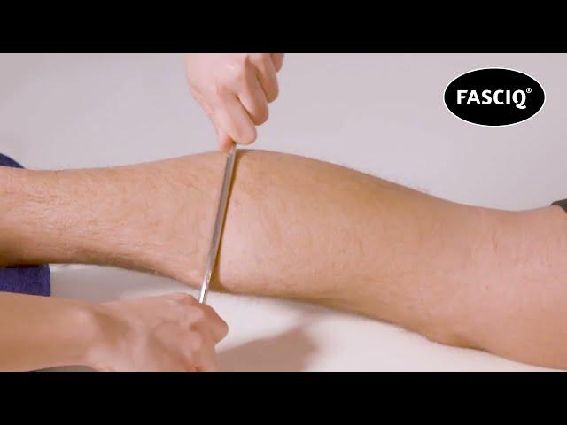 Гомілка. Мобілізаційний масаж м’яких тканин. IASTM інструменти FASCIQ®