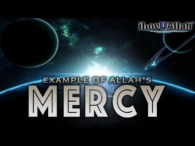 Example Of Allah's Mercy | Powerful Hadith