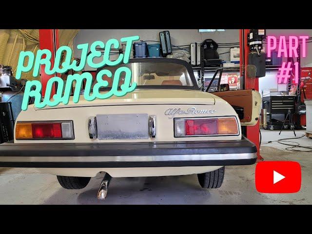 Part #1 An Introduction to the 1981 Alfa Romeo Spider - Carnage of a leaking master cylinder.