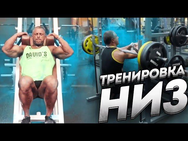 Тренировка для нижней части тела "НИЗ" Станислав Линдовер