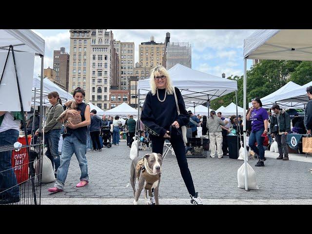 New York City LIVE Street Fair & Pet Adoption Festival Union Square Manhattan