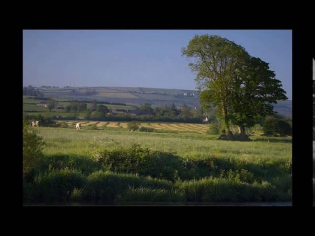 James Turner  - Countrywise